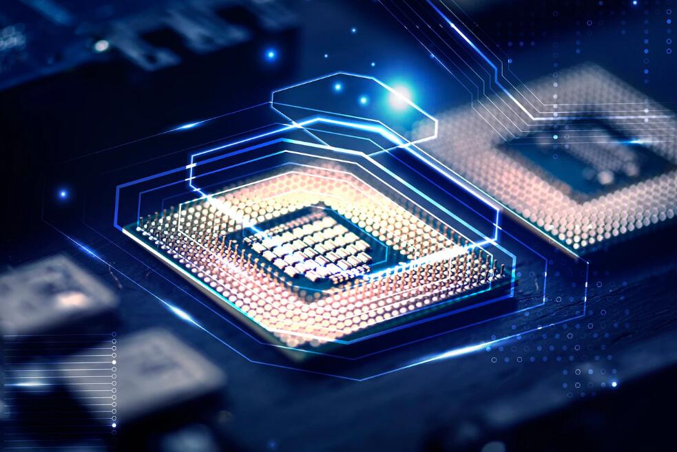 熏衣草电影结局什么意思 结局出乎意料的电影